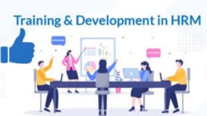 Management Development Training: Building Stronger Leaders for a Smarter Future